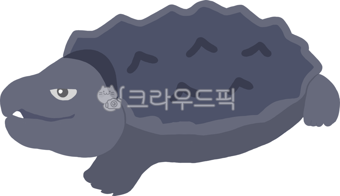 Reptiles,turtles,alligator snapping turtles,exhibition halls,decorations