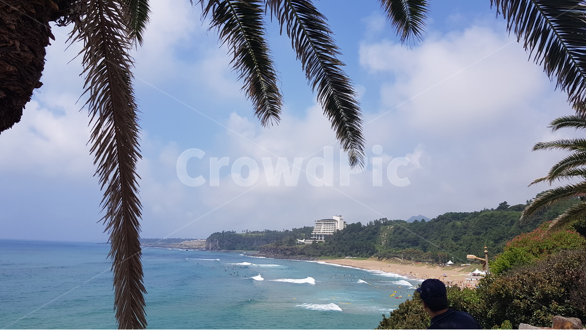 제주도,제주,해변,풍경,경치,자연풍경,하늘사진,바다풍경,도시풍경,풍경사진,감성사진,일상풍경,하늘감성,바다감성,구름사진,노을사진,푸른하늘,바다뷰,도시스냅,건물사진,건축사진,풍경스타그램,감성스타그램,사진기록,여행감성,힐링풍경,자연사진,풍경기록,일상사진,하늘구름,도시감성,바다하늘,뷰맛집,감성풍경,자연,풍경,nature,landscape,제주도,jeju,jeju island,summer,여름,human,인간,person,사람,tree,나무,plant,식물