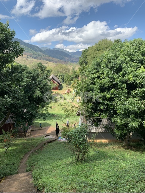 산,자연,목가적,태국,thailand,치앙라이,산속