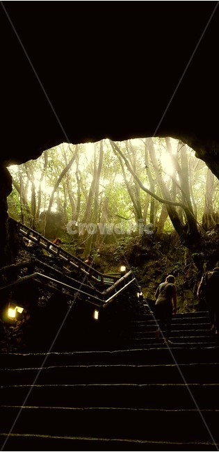 제주,동굴,빛,여름,관광,자연,풍경,nature,landscape,handrail,난간,banister,flare,플레어,light,staircase,계단