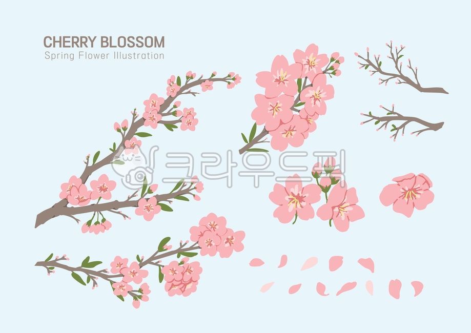 봄,계절,꽃,꽃나무,나뭇가지,자연,꽃잎,개화,꽃구경,봄나들이,봄맞이,벚꽃,벚나무,분홍색,벚꽃축제,축제,일러스트,그림