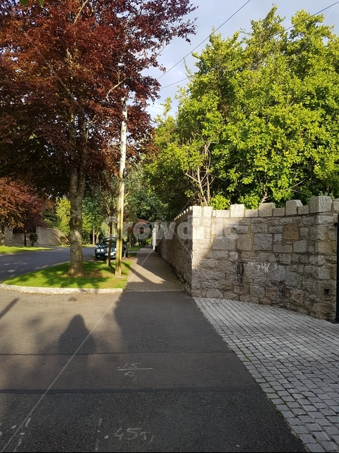 유럽,도로,인도,가로수,담장,자연,풍경,nature,landscape,path,통로,walkway,보도,flagstone,판석,plant,식물,tree,나무