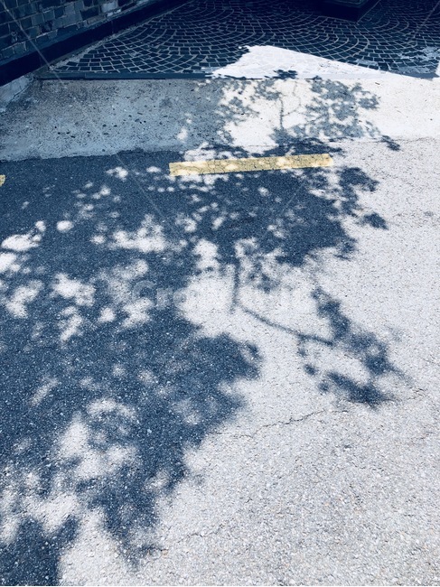 아스팔트,그림자,오전,햇빛,평창동,자연,풍경,nature,landscape,실루엣,그림자,silhouette,shadow,asphalt
