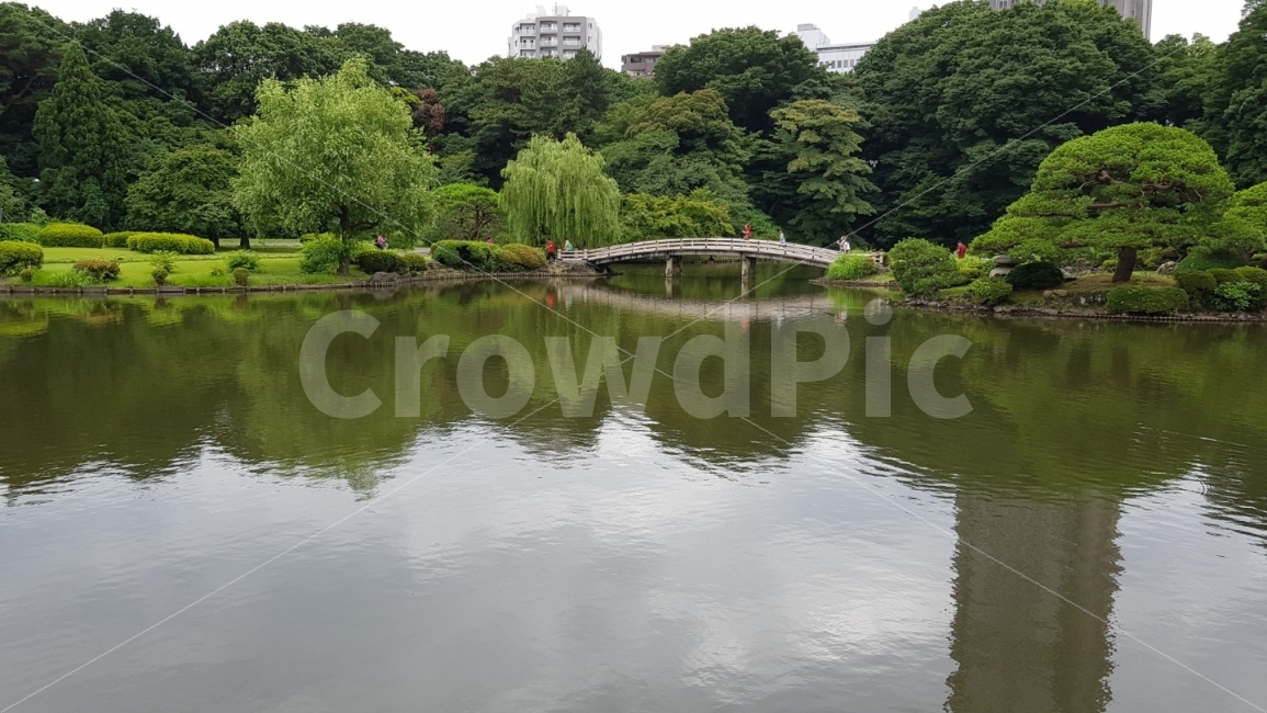 물가에공원,호수,호수공원,정원,호수정원,여유로운,한가한,일상적인,도시,풍경,city,landscape,water,물,nature,자연,outdoors,옥외,pond,못