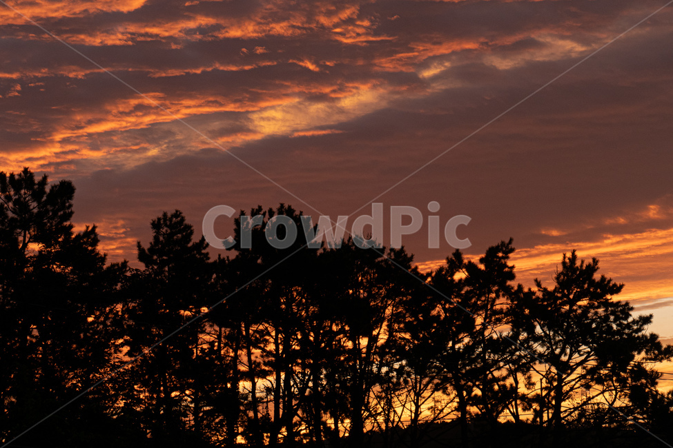 nature,붉은하늘,outdoors,황혼,dusk,redsky,자연,풍경,nature,landscape,sky,하늘,옥외,sunset,일몰,dawn,새벽,red sky,붉은 하늘,sunlight,햇빛