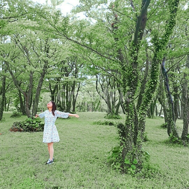 숲,초목,자연,nature,land,휴식