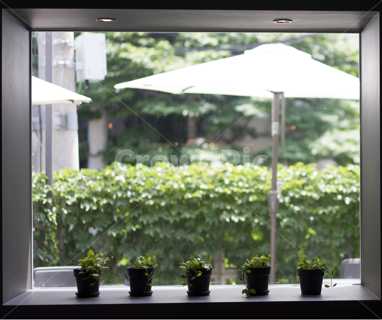 창문,창가,화분,창가자리,테라스,미니화분,인테리어,실내디자인,interior design