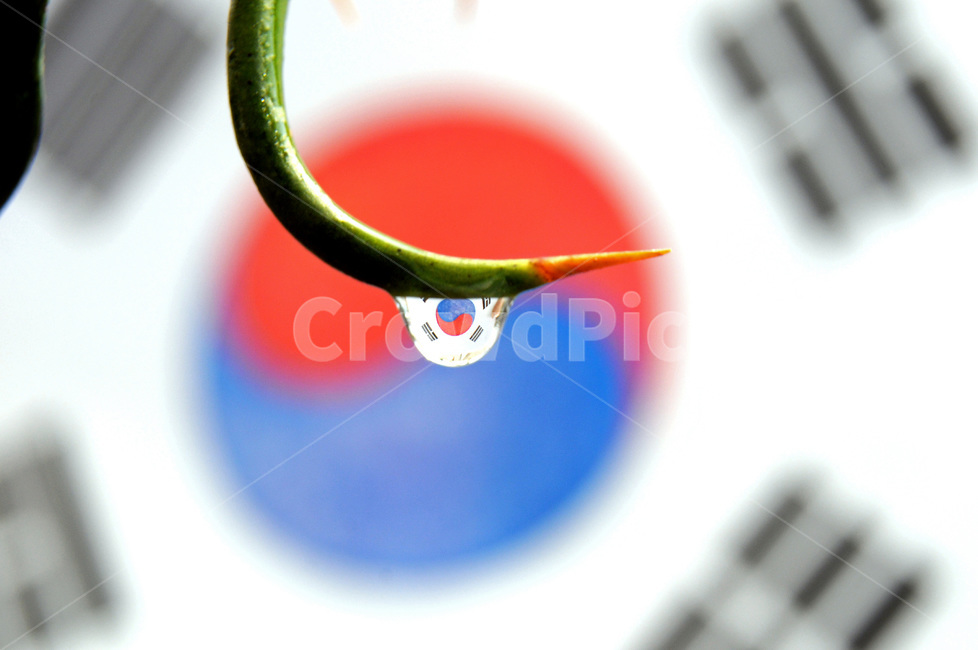 태극기,물방울,반영,태극기게양,국경일