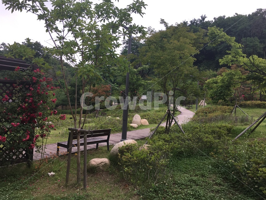 park,공원,tree,나무,자연