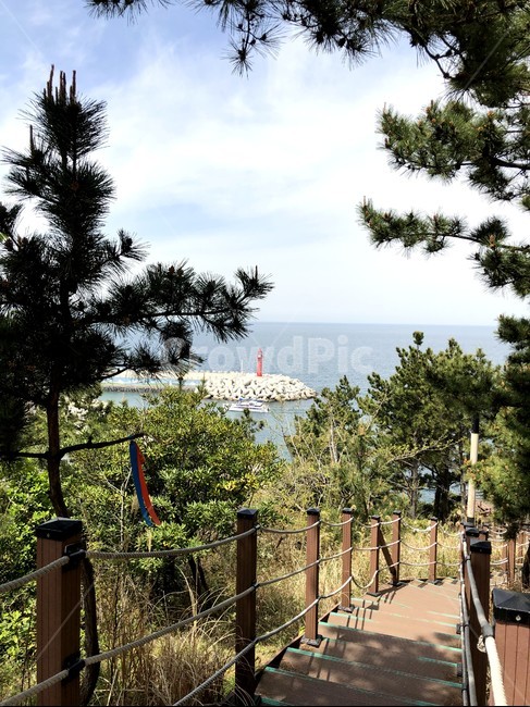 바다,등대,갈대,자연,풍경,산책로,나무