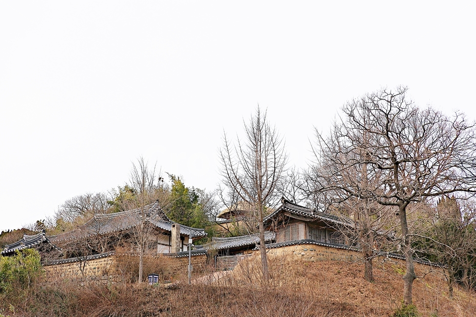 양동마을,한옥,기와집,집,전통집,건물,자연,풍경,옛날집,겨울,한국전통,한국문화,korean traditional,korean culture