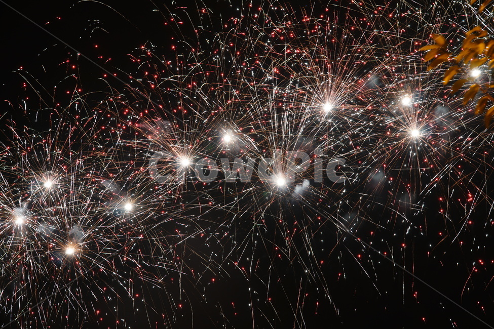 불꽃,야경,불꽃축제,풍경,축제