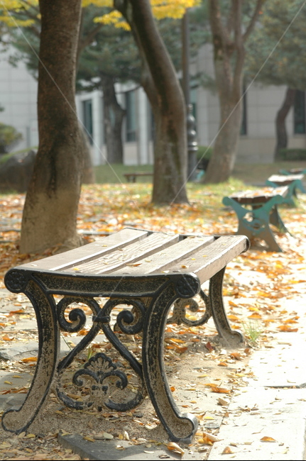 벤치,낙엽,의자,공원,가을,가을,계절,fall,autumn,season,furniture,가구,bench,park bench,공원 벤치