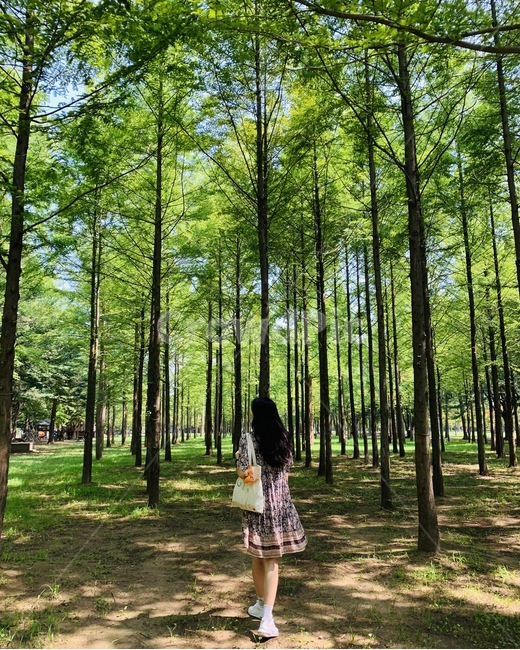 자연,plant,식물,삼림지,숲,나무,땅,작은숲,tree,사람,인간,여자,뒷모습,원피스,휴식,산책,초록,풀,산림욕