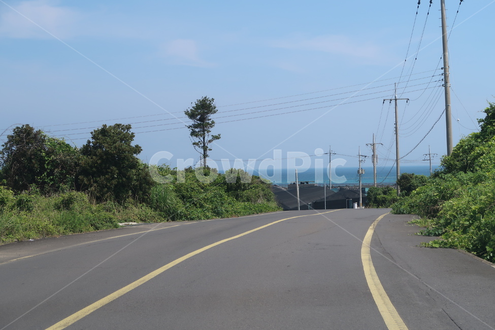 road,도로,asphalt,아스팔트,하늘,sky,sea,바다,나무,tree,제주도,한국,풍경,시골길,시골,마을,풍경,landscape,country,rural,town