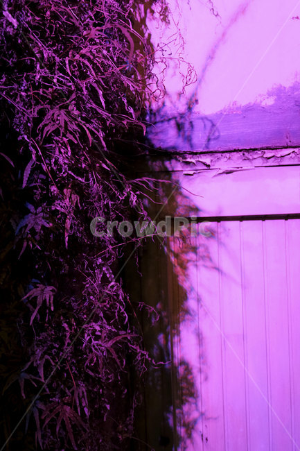 골목,벽,불빛,색감,alley,light,wall,streetlamp