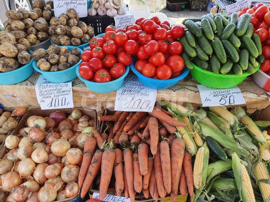 시장,마켓,market,plant,식물,야채,채소,vegetable