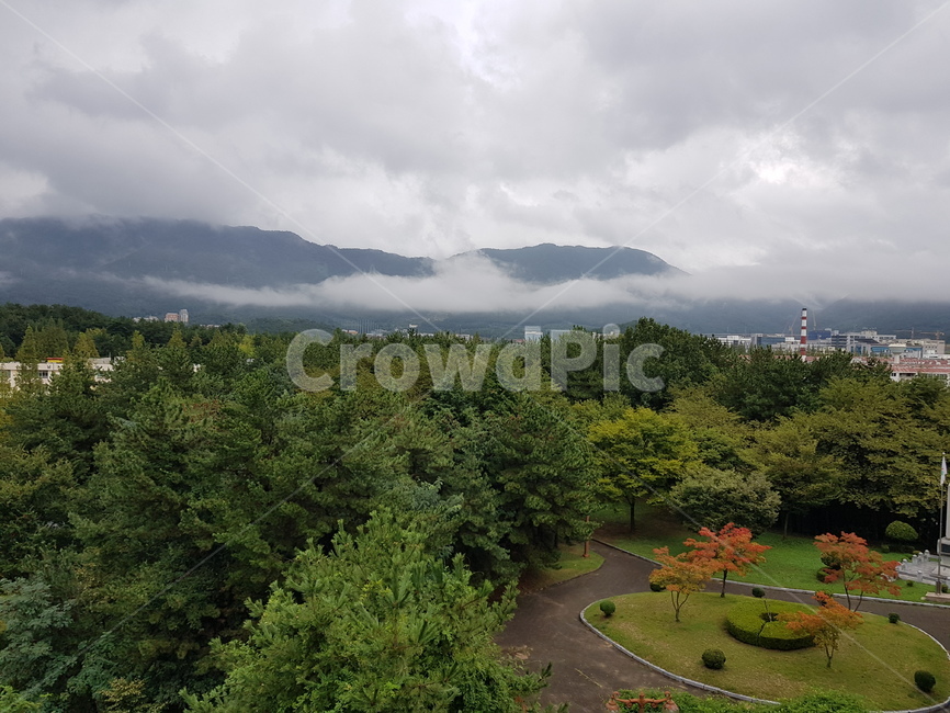 구름덮힌산,비온뒤갬,산허리구름,창원시,비온뒤구름산