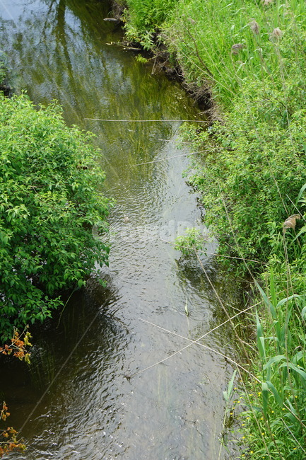 자연,nature,stream,계곡,물,water