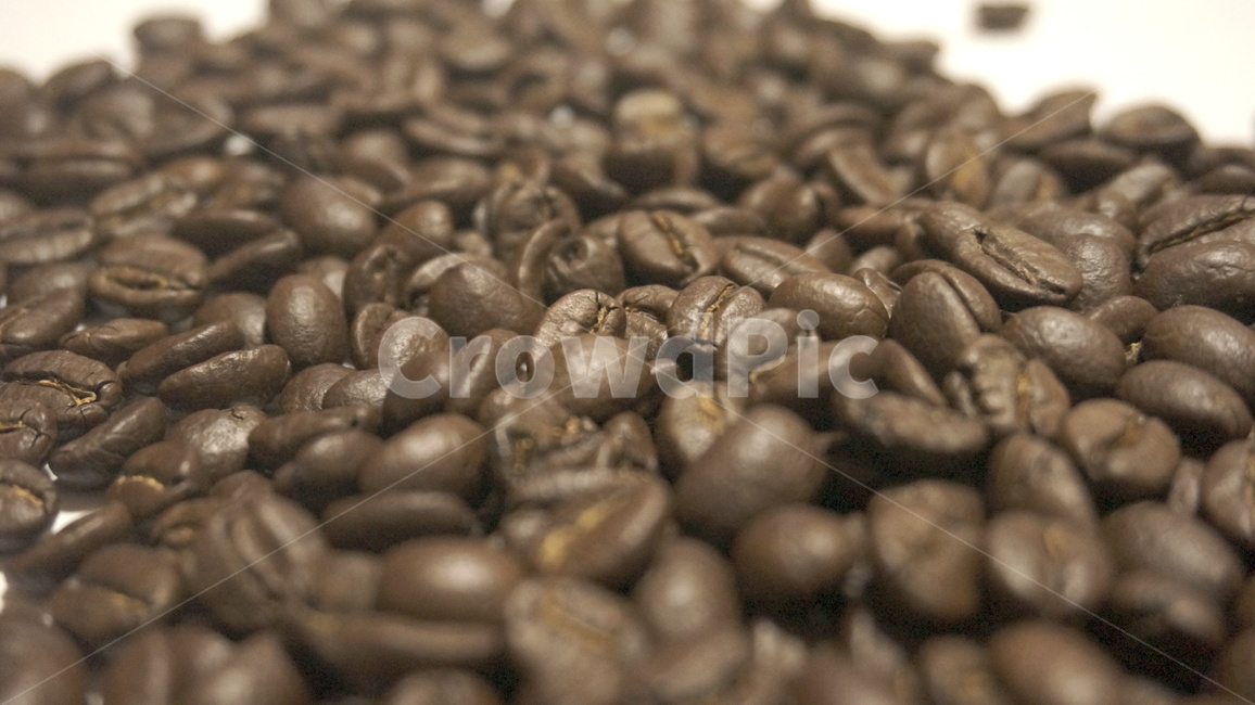 원두,원두커피,로스팅,커피,cafe,드립커피,스코트레버러토리,워시드방식,커피,카페,coffee,cafe