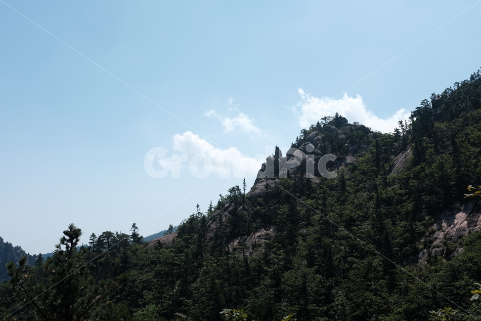 산,자연,아웃도어,암벽,하늘,나무,구름,자연,풍경,nature,landscape,tree,plant,식물,fir,전나무