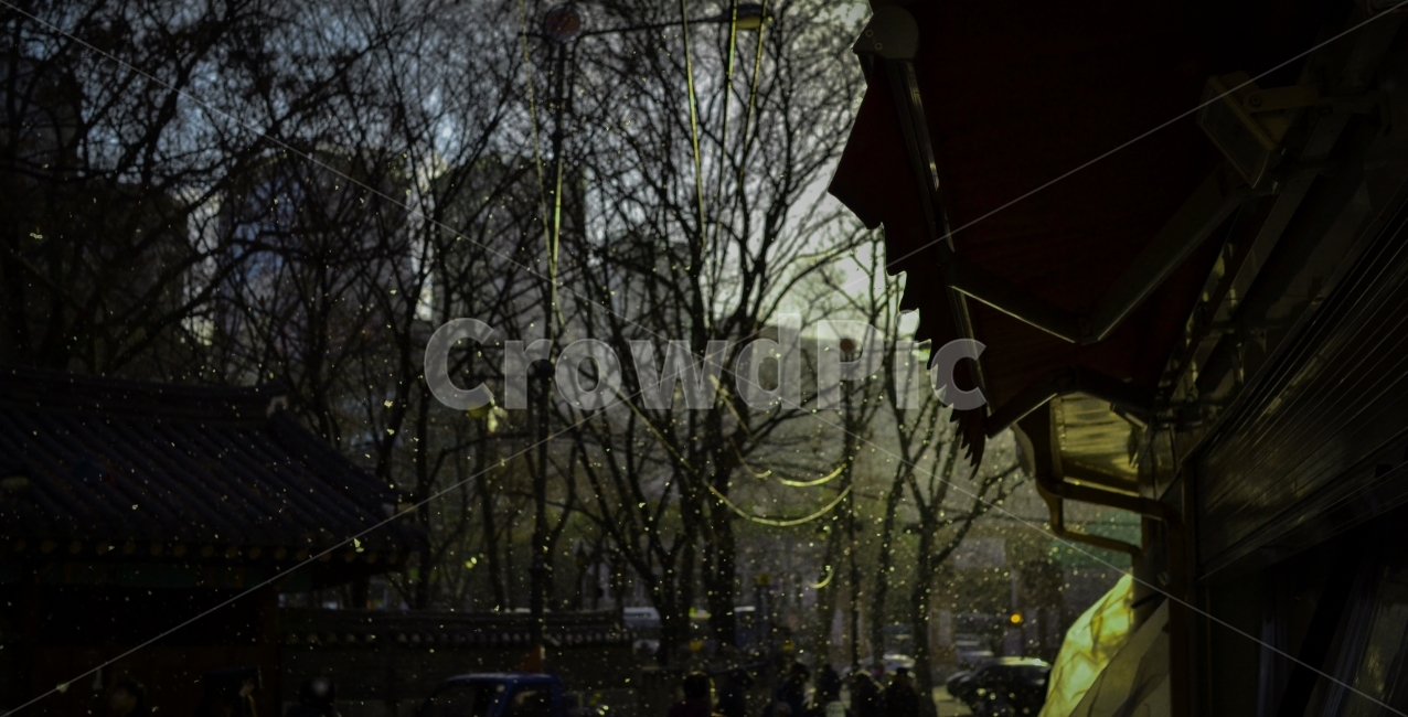 눈오는사진,노을,햇빛,매직아워,감성사진,겨울,계절,winter,season,도시,풍경,city,landscape,한국도시풍경,한국도시경관,korea cityscape,감성,sensible,feeling