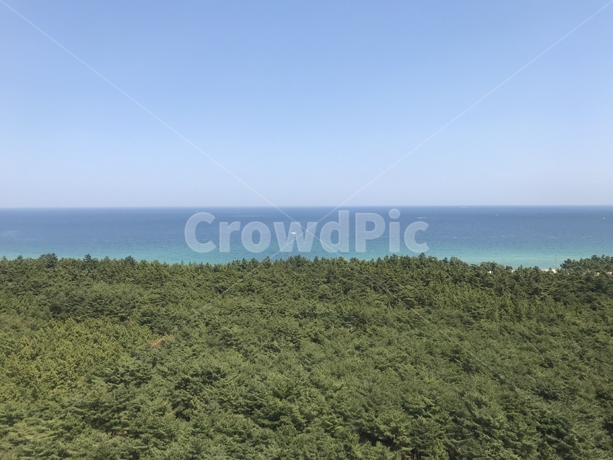 강원도,속초,경치,view,하늘,바다,자연,nature,land,sky,sea,나무