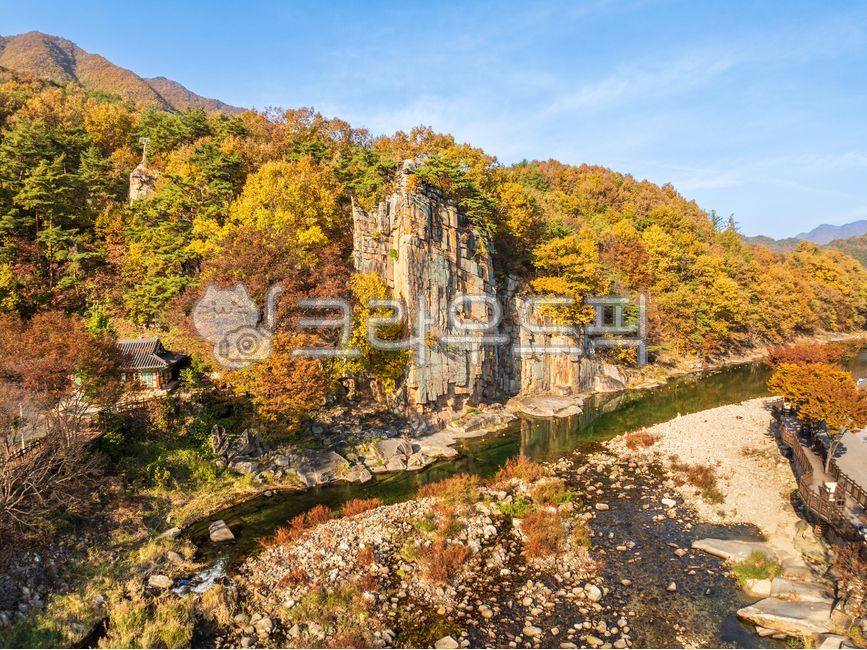 사인암,절벽,암석,바위,하천,냇물,냇가,물,가을,단풍,산,나무,갈색,야외,실외,자연,관광지,판상절리,수직절리,화강암,계곡,충청북도,충북,단양군,단양,한국,하늘,파란색