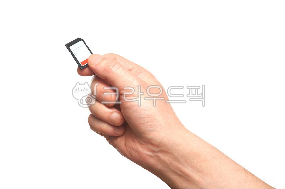 data,white background,media,sd memory,outflow,Information storage,Save photo,camera,sd card,memory card,hand,storage device