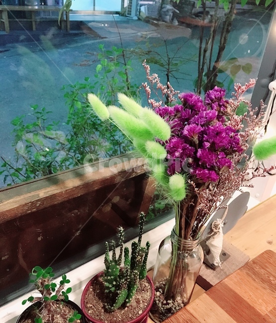 인테리어,꽃,조화,선인장,장식