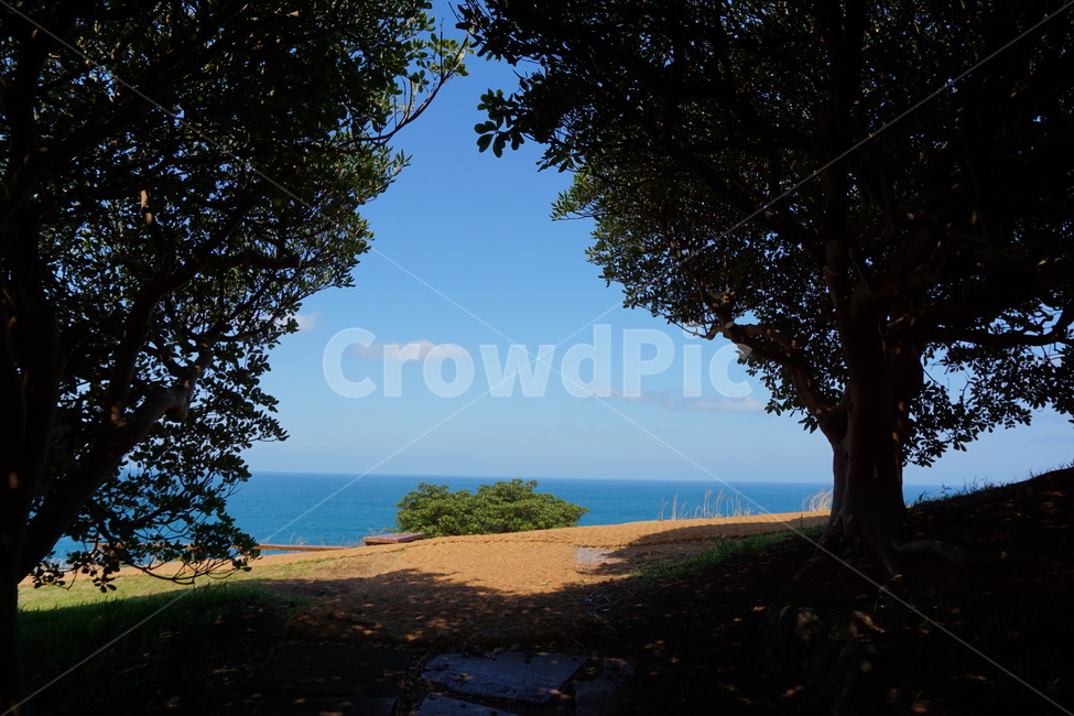 도두봉,도두오름,제주도두봉,제주도도두봉,오름