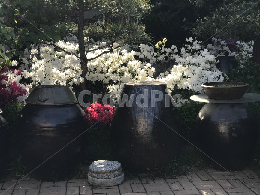 장독대,항아리,정원,철죽,맷돌,꽃밭