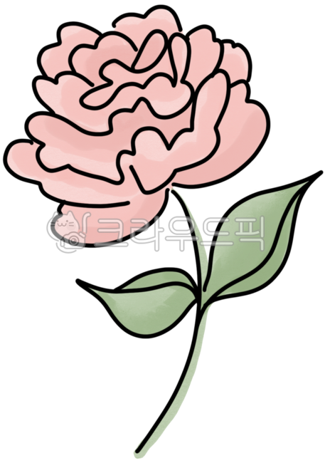 작약,작약꽃,5월,5월꽃,봄꽃,여름,여름꽃,분홍꽃,꽃일러스트,감사인사,사랑합니다,감사합니다,책갈피,감사,사랑,행복