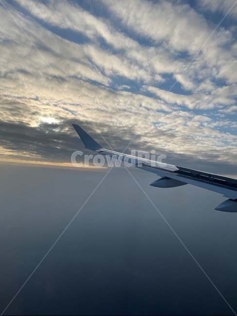 vehicle,aircraft,항공기,flight,airliner,교통,transportation,비행,여객기,airplane,비행기,하늘,날개