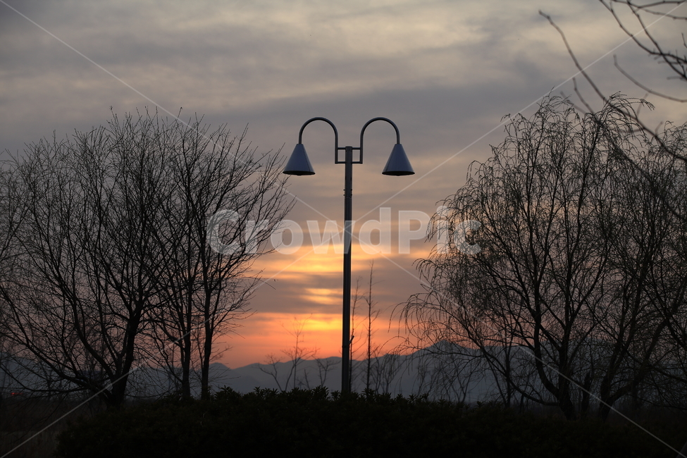 가로등,노을,생태공원,도심공원,일몰,자연,풍경,nature,landscape,lamp post,램프 포스트