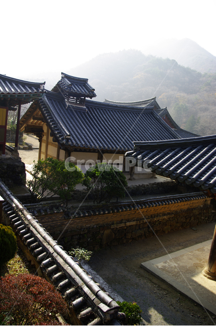 기와지붕,전통,산,사찰,전각,한국,한국전통,한국문화,korean traditional,korean culture,건축물,건물외관,exterior,building,structure,architecture,construction