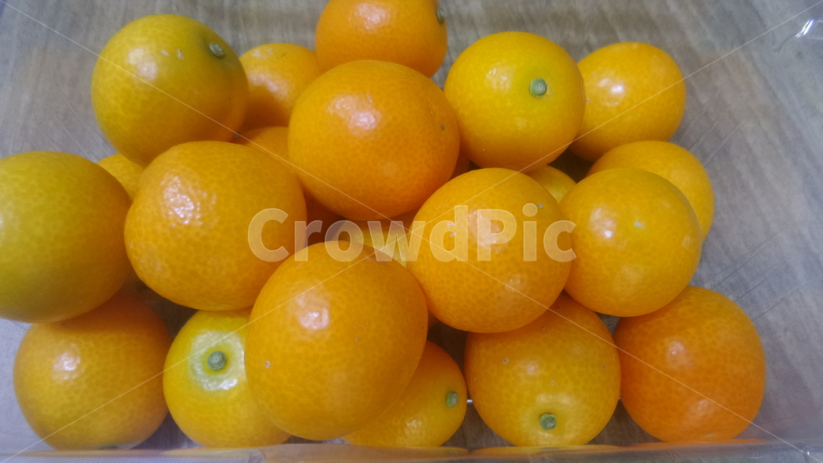 금귤,낑깡,관상용,노란과일,금감,kumquat,金柑,식용,과일,음식,식재료,요리,food,cook,meal,dishes,food reserves,과일,열매,fruit