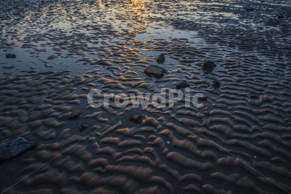 바다,갯벌,물결,자연,웨이브,해변,바다,beach,sea