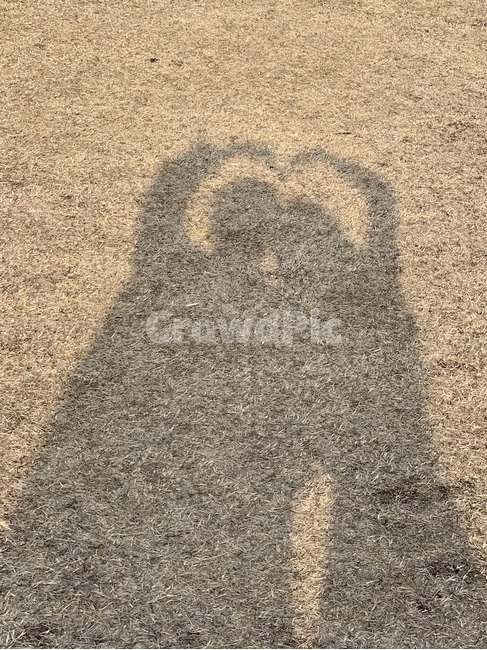 커플,사랑,그림자,실루엣,couple,love,shadow