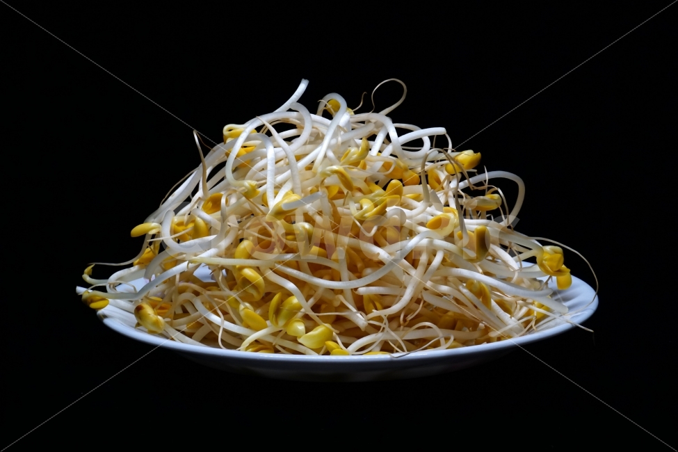 식재료,식자재,요리,cook,레시피,recipe,음식,반찬,food,meal,vegetable,야채,채소,오브젝트,사물,물건,object,컨셉,콘셉,concept,주방,부엌,요리사,주방장,신선한,신선하다,신선도,싱싱한,싱싱하다,맛,맛있는,맛있게,맛있다,일상,생활,eat,식품,식료품,식물,자연,자연식품,건강식품,콩나물,beansprouts,그릇,접시,누끼,누끼사진,음식,식재료,요리,food,cook,meal,dishes,food reserves,채소,야채,vegetables,누끼,remove background