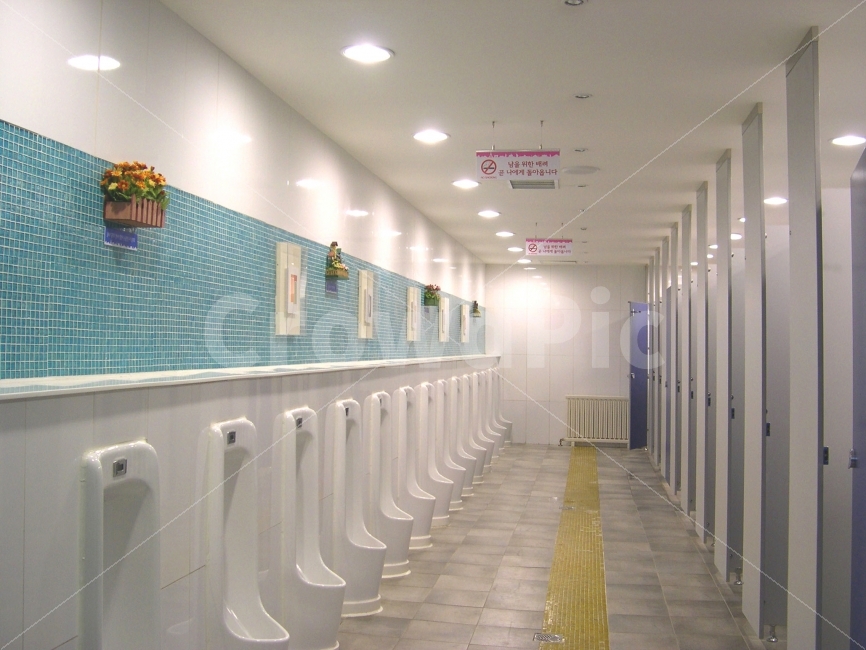 화장실,변기,소변기,인테리어,interior,깔끔함,깨끗함,화이트,white,장식,장식물,인테리어,실내디자인,interior design