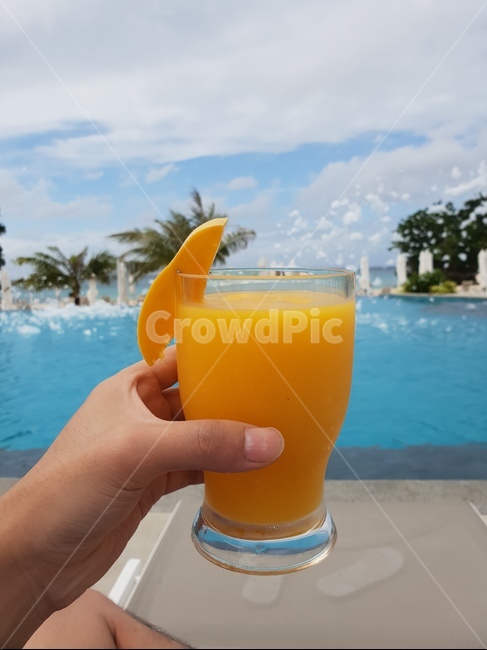 망고,주스,망고주스,수영장,휴가,여름,시원함,생과일,음료수,drink,beverage