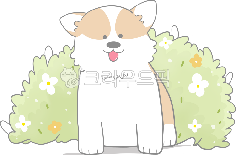 강아지,꽃,강아지와꽃,귀여운강아지,동물