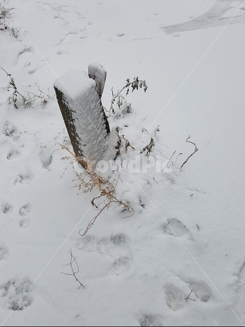 nature,자연,outdoors,눈,snow