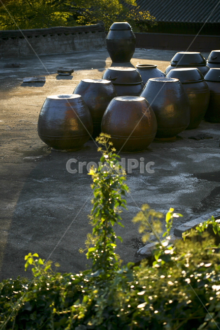 장독,옹기,역광,풍경,가을,한국전통,한국문화,korean traditional,korean culture