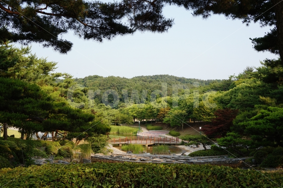 공원,숲,나무,자연,초록,초록색,green,forest,tree,park,자연,풍경,nature,landscape,outdoors,옥외,plant,식물