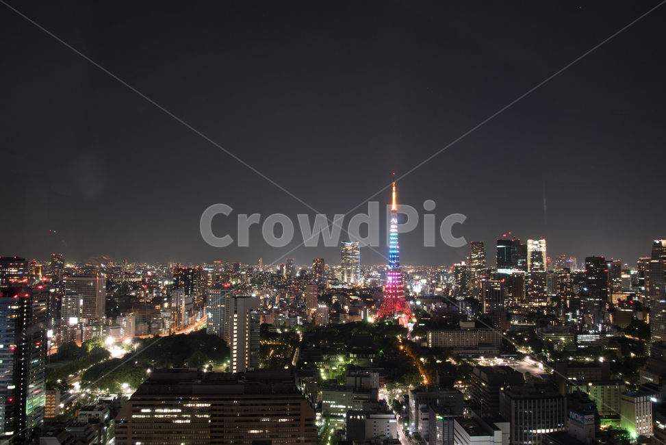 도쿄,tokyo,일본,japan,도쿄타워,랜드마크,landmark,레인보우브릿지,야경,nightscape,야경,밤,풍경,nightscape,night,landscape,도시,city,랜드마크,landmark,tourist attraction,해외,외국,세계,foreign,oversea,world,세계도시풍경,해외도시풍경,외국도시풍경,world cityscape,세계랜드마크,해외랜드마크,외국랜드마크,world landmark,world tourist attraction,nature,자연,outdoors,옥외,경치,tower,탑,building,건물,steeple,뾰족한 탑,spire,첨탑,architecture,건축물,scenery,시티,town,urban,어반,metropolis,중심지