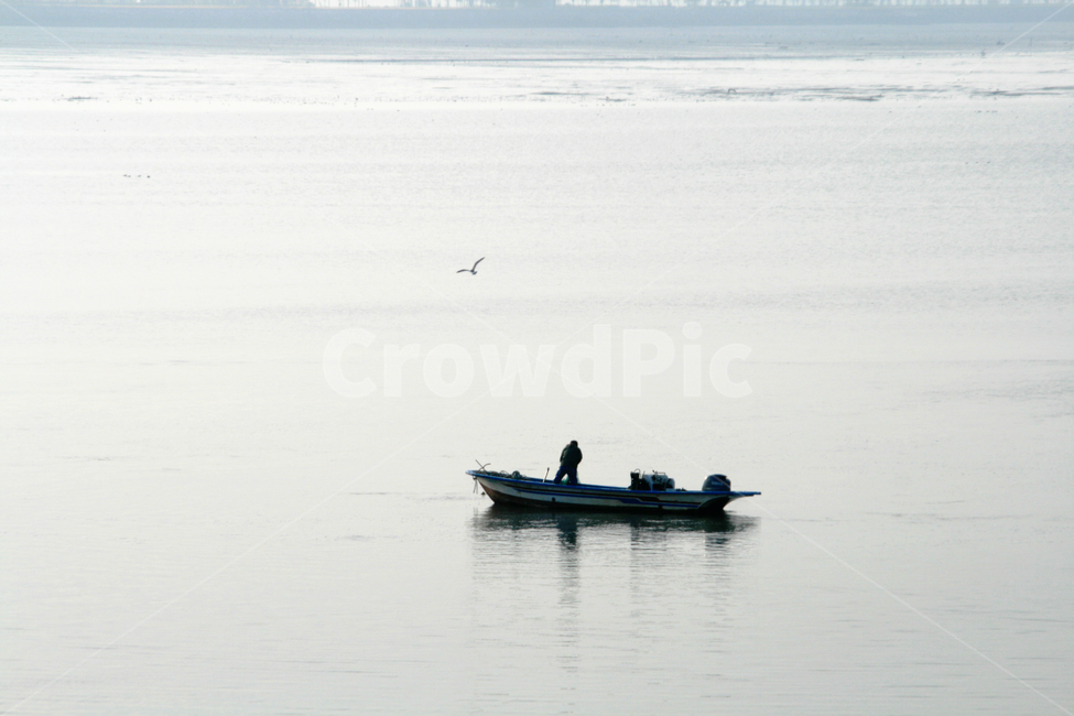 선박,강,바다,갈매기,어선,어부,어업,fishery,fishing industry