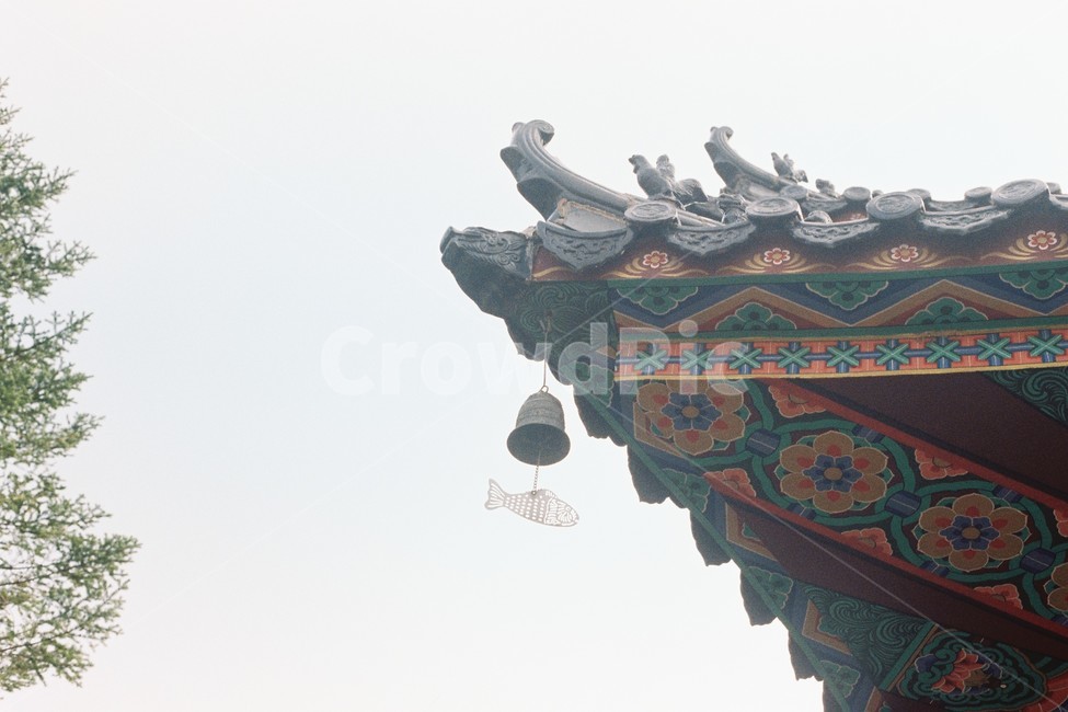 풍령,정자,경치,풍경,바람,감성샷,건축물,건물외관,exterior,building,structure,architecture,construction
