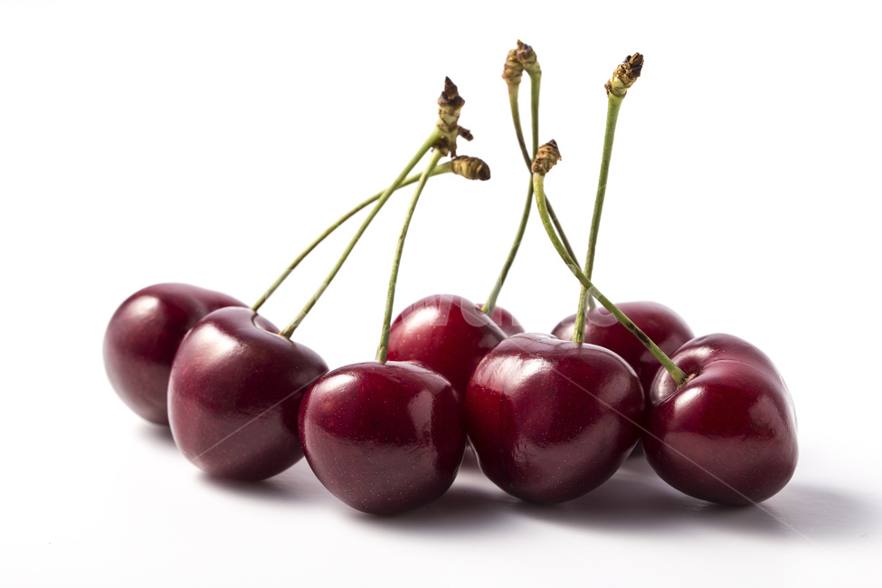 체리,과일,베리,열매,cherry,빨강색,레드,red,꼭지,광택,시장,과일가게,비타민,비타민c,음식,디저트,앵두,신선한,맛있는,건강한,건강,다이어트,예쁜,마켓,새콤달콤,달콤한,음식,식재료,요리,food,cook,meal,dishes,food reserves,과일,열매,fruit,연출,컨셉,콘셉,direction,concept,누끼,remove background